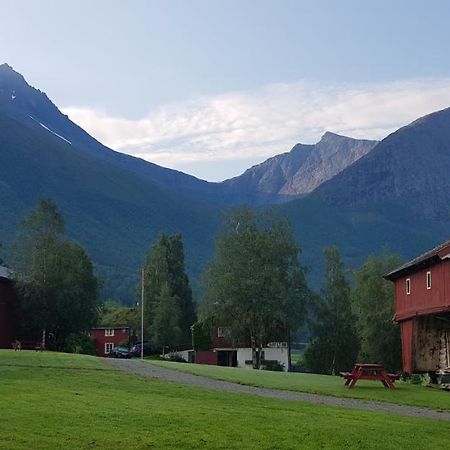 Lensmansgarden Marteinsgarden Apartman Innfjorden Kültér fotó